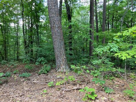 97 Concord Trail Murphy NC 28906