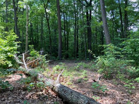 97 Concord Trail Murphy NC 28906