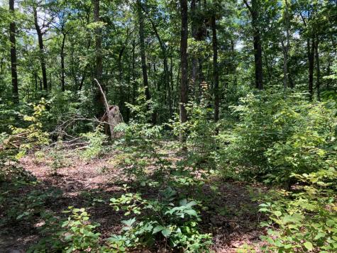 97 Concord Trail Murphy NC 28906