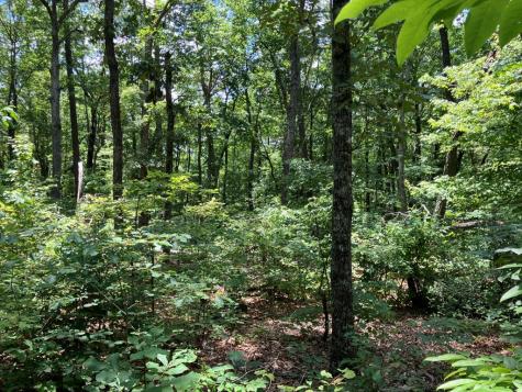 97 Concord Trail Murphy NC 28906