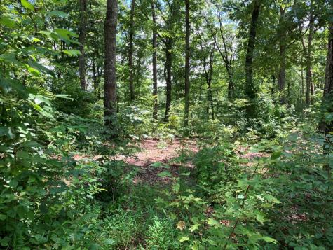 97 Concord Trail Murphy NC 28906