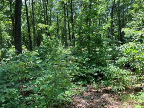 97 Concord Trail Murphy NC 28906