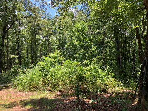 97 Concord Trail Murphy NC 28906