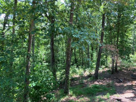 97 Concord Trail Murphy NC 28906