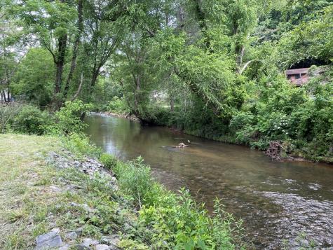 6211 Old Highway 64 W Warne NC 28909