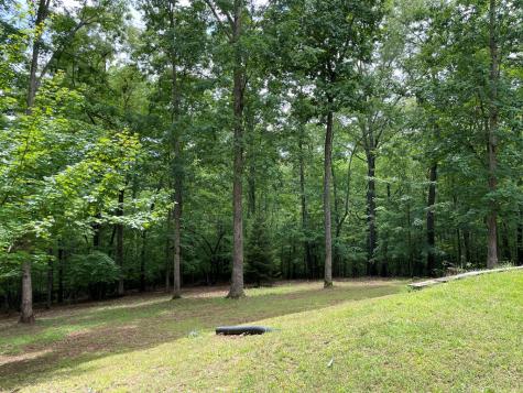 381 Ross Drive Mineral Bluff GA 30559