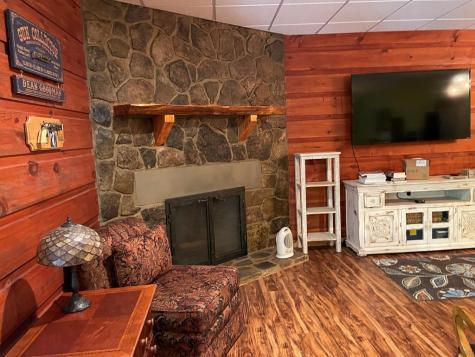 381 Ross Drive Mineral Bluff GA 30559