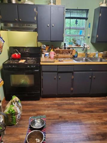 381 Ross Drive Mineral Bluff GA 30559