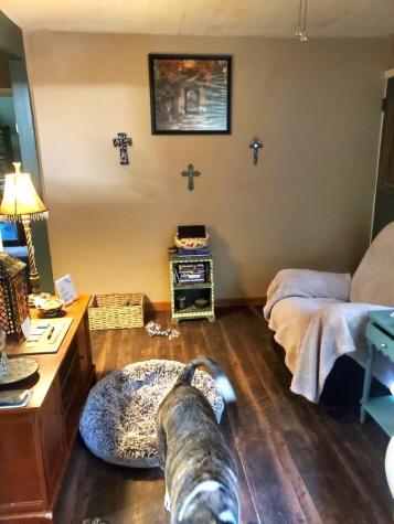 381 Ross Drive Mineral Bluff GA 30559