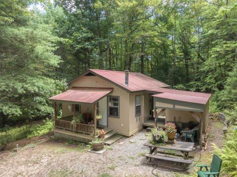 381 Ross Drive Mineral Bluff GA 30559