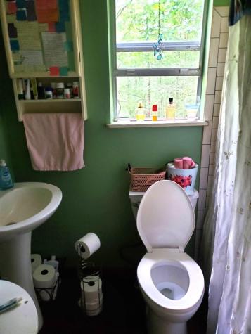 381 Ross Drive Mineral Bluff GA 30559