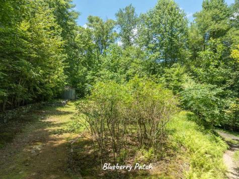 381 Ross Drive Mineral Bluff GA 30559