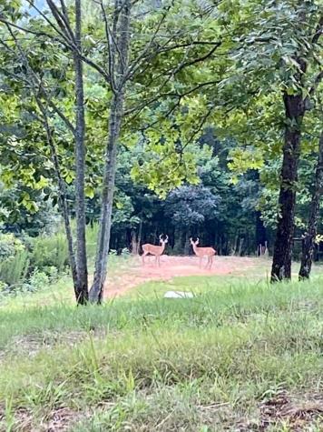 124 Graystone Drive Murphy NC 28906