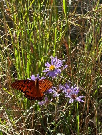 28 Joyce Road Murphy NC 28906