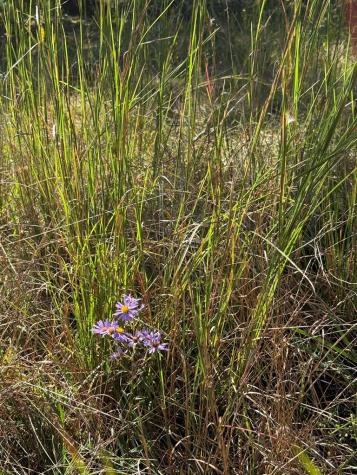 28 Joyce Road Murphy NC 28906