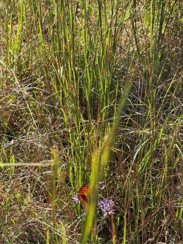 28 Joyce Road Murphy NC 28906