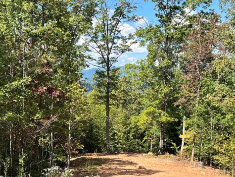 139 Hideout Lane Murphy NC 28906