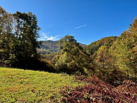 198 Sandy Davis Drive Nantahala NC 28781