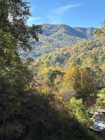 198 Sandy Davis Drive Nantahala NC 28781