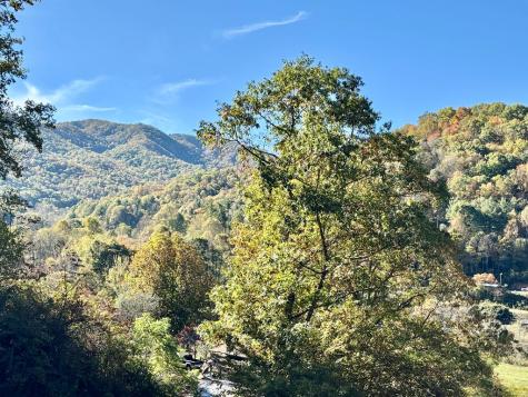 198 Sandy Davis Drive Nantahala NC 28781