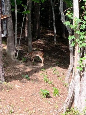 170 Fern Ridge Trail Murphy NC 28906