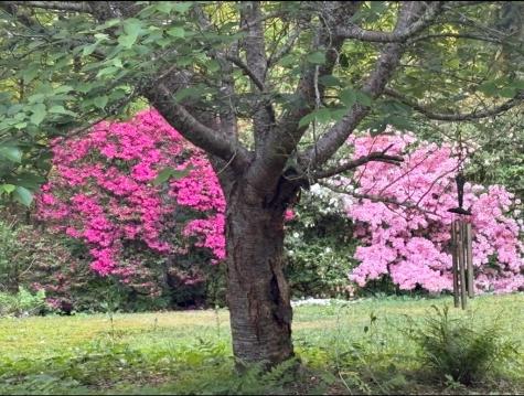 136 Snowbird Trail Marble NC 28905