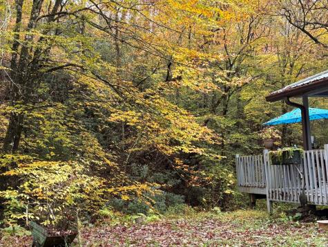 136 Snowbird Trail Marble NC 28905