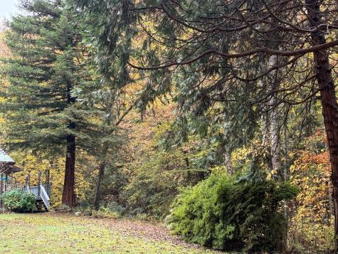 136 Snowbird Trail Marble NC 28905