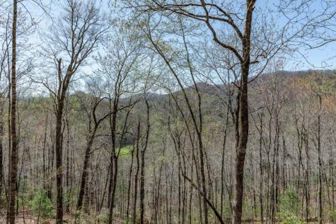 425 Running Deer Lane Murphy NC 28906