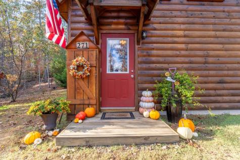 271 Kate's Cove Murphy NC 28906