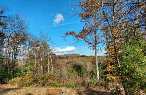 271 Kate's Cove Murphy NC 28906