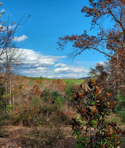 271 Kate's Cove Murphy NC 28906