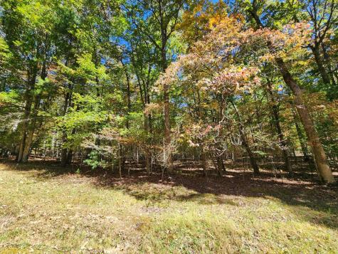 103 Cove Lane Murphy NC 28906