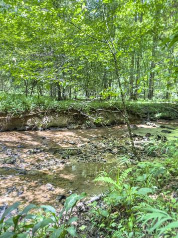 89 Box Turtle Lane Murphy NC 28906