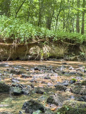 89 Box Turtle Lane Murphy NC 28906