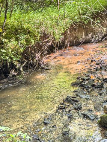 89 Box Turtle Lane Murphy NC 28906