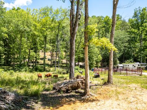 1064 Pinedale Lane Andrews NC 28901