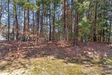 20 Sunflower Court Durham NC 27713