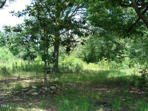 1755 Bunnlevel Erwin Road Bunnlevel NC 28323