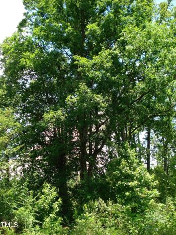 1755 Bunnlevel Erwin Road Bunnlevel NC 28323