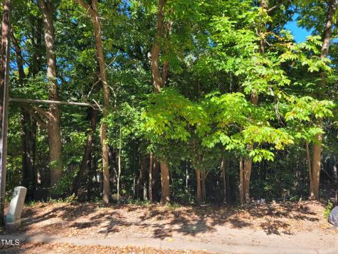 701 Raynor Street Durham NC 27703