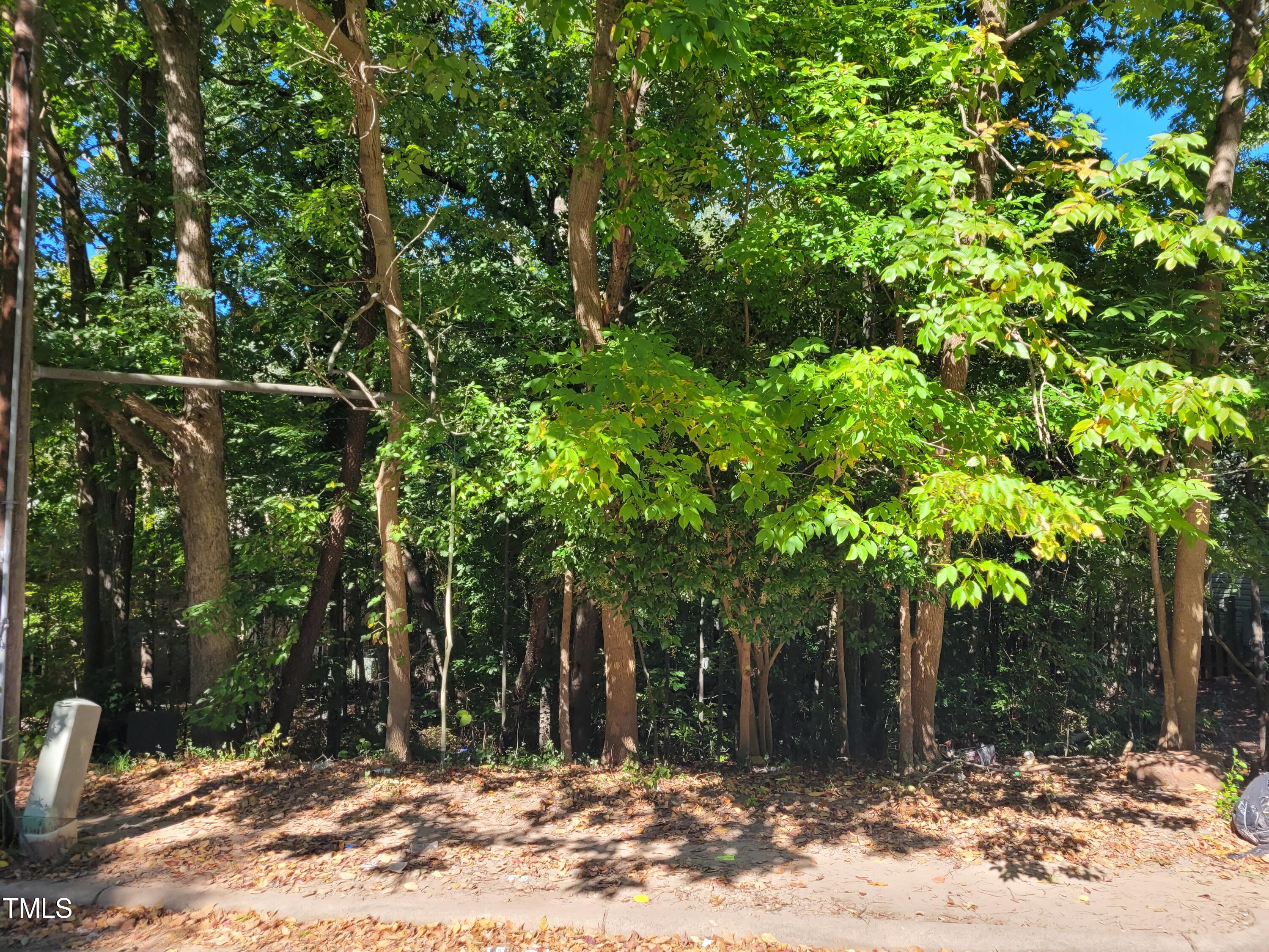 701 Raynor Street Durham NC 27703