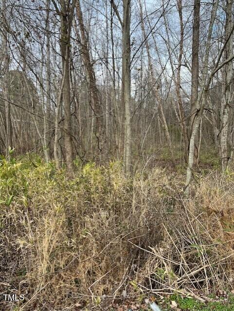 1293 Guy Road Clayton NC 27520