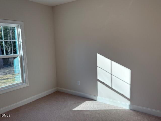 178 Surles Landing Way Benson NC 27504