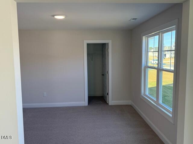 178 Surles Landing Way Benson NC 27504