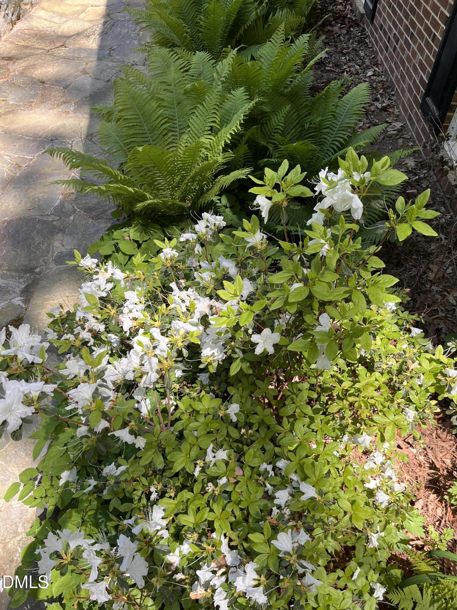 403 Brandywine Road Chapel Hill NC 27516