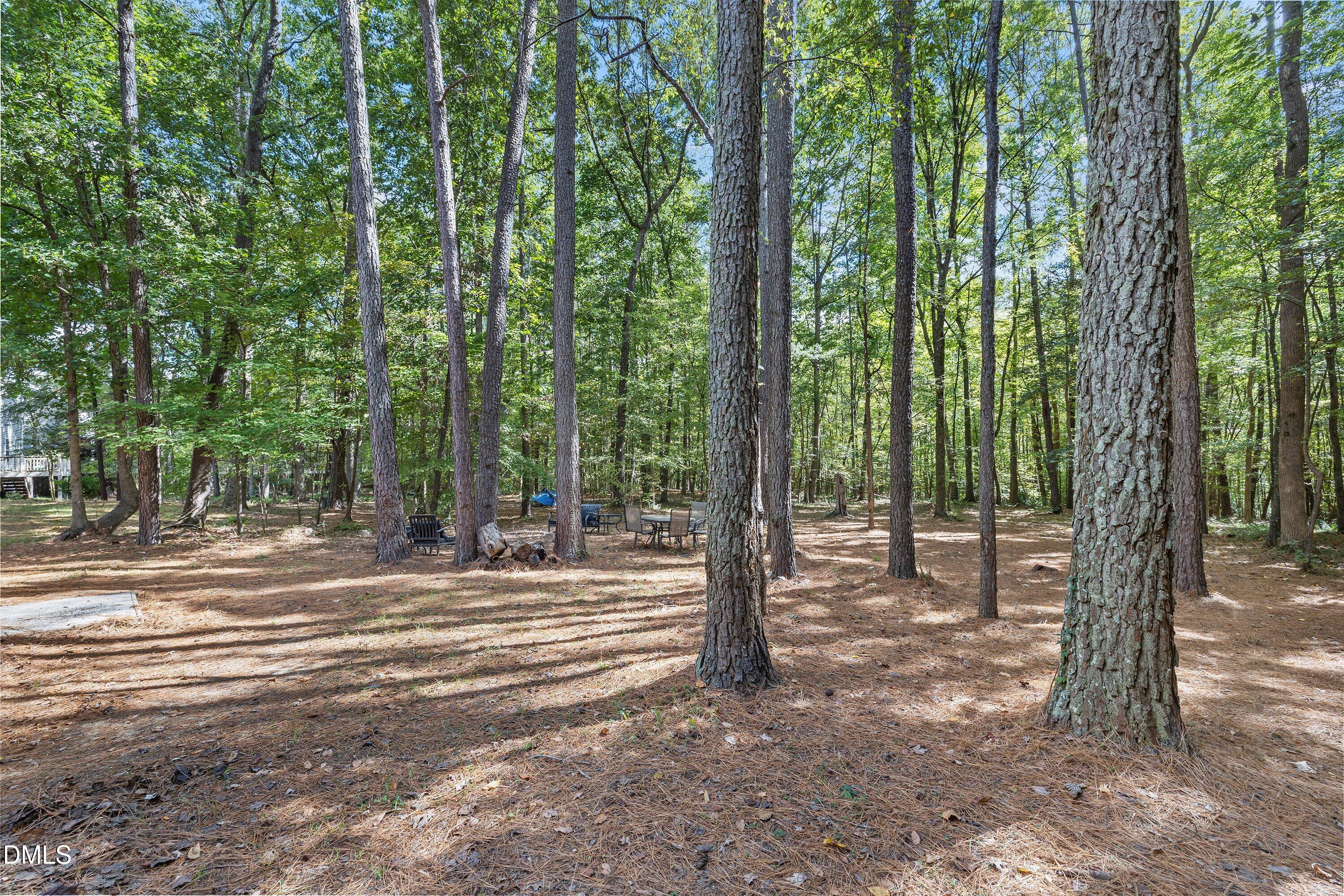 218 River Hills Drive Clayton NC 27527