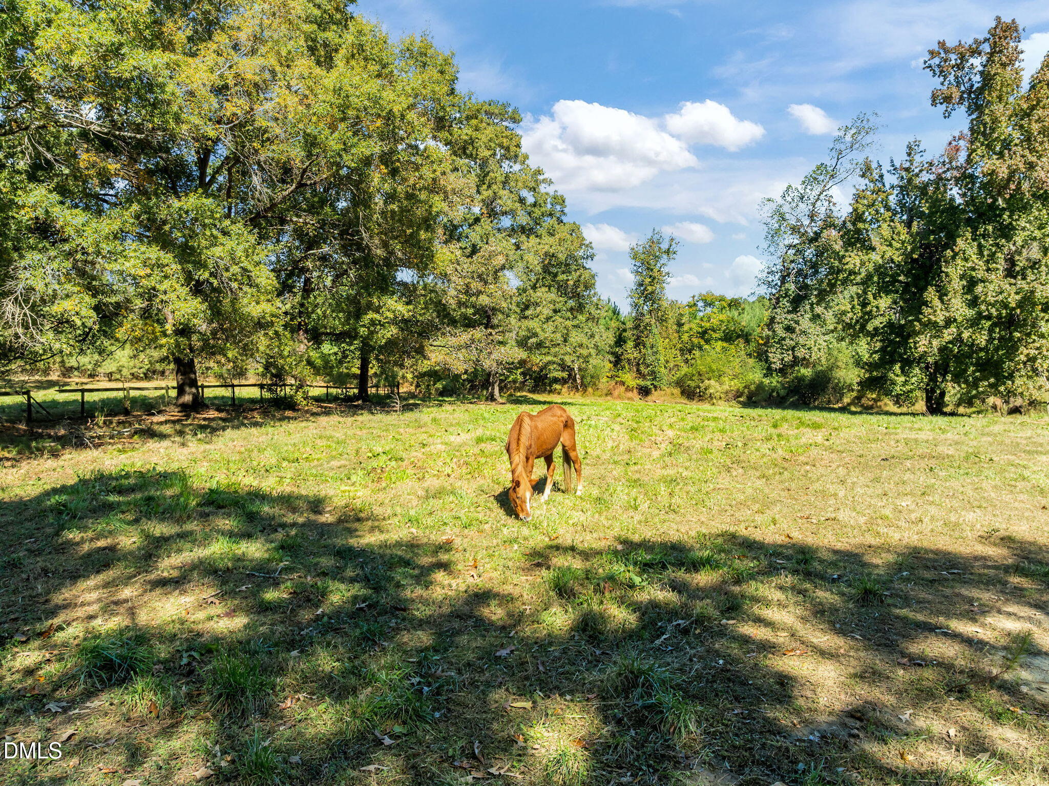 3201 Carl Durham Road Chapel Hill NC 27516