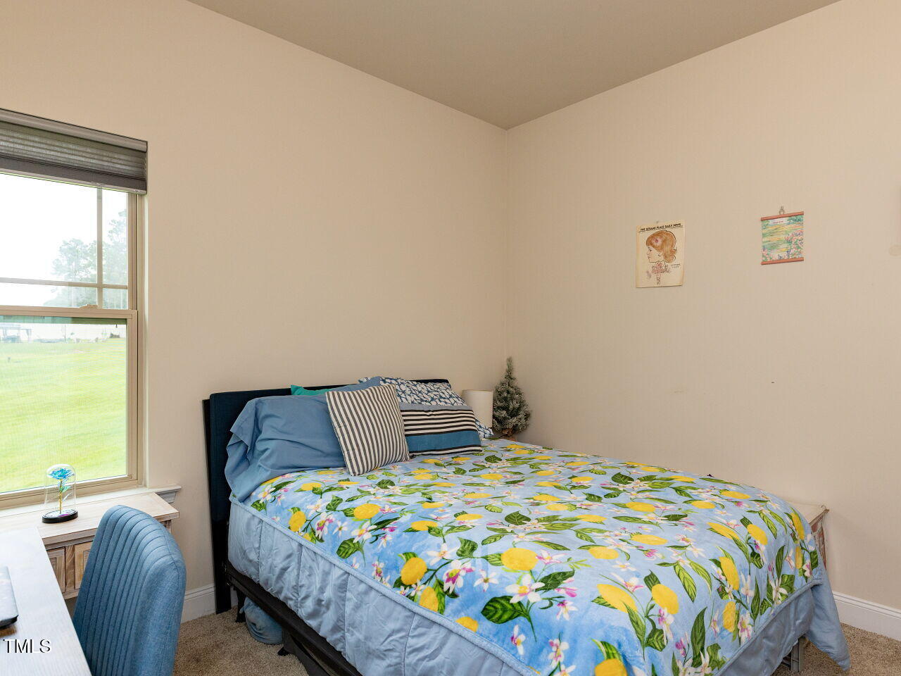 193 Preserve Drive Benson NC 27504