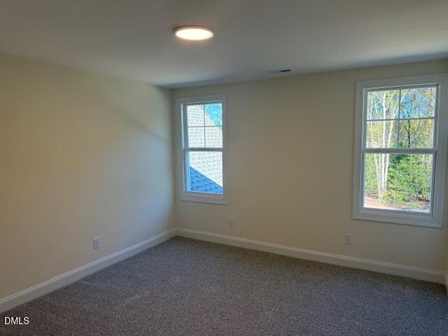 187 Surles Landing Way Benson NC 27504